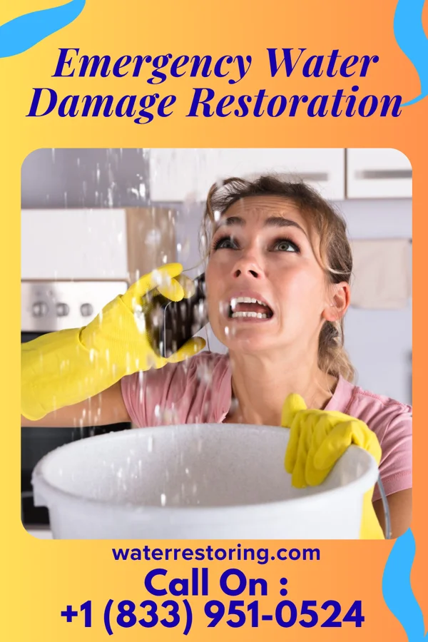 Emergency Water Damage Restoration in Gainesville, AL