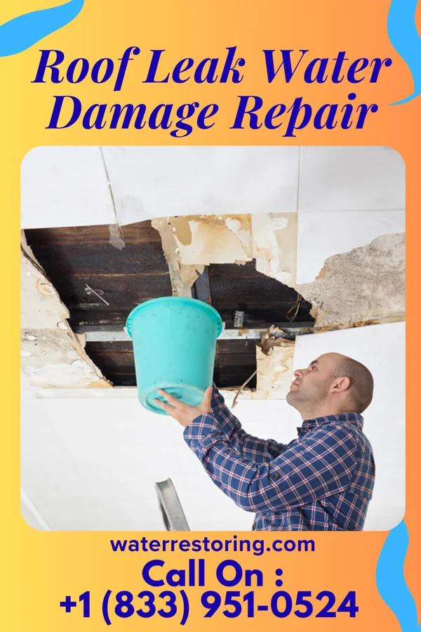 Roof Leak Water Damage Repair in Gainesville, AL