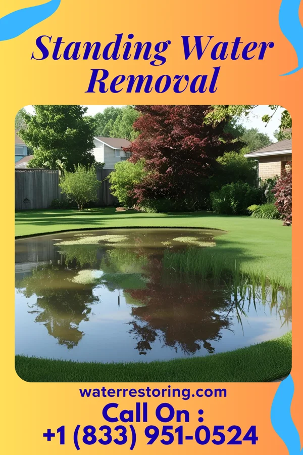 Standing Water Removal in Gainesville, AL